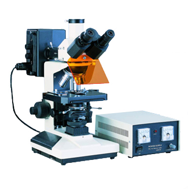 XSP-BM13C三目荧光显微镜