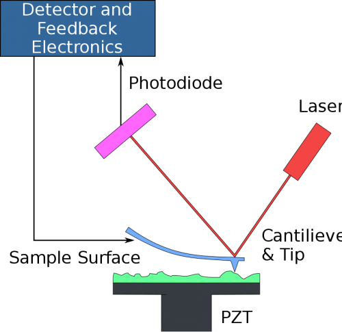 原子力显微镜的三种工作成像模式
