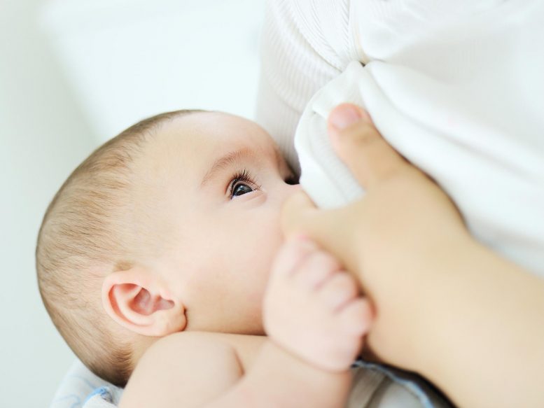 婴儿喝母乳